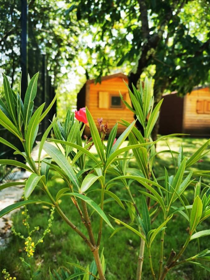 Krasen Kras 104 Resort Komen Zewnętrze zdjęcie