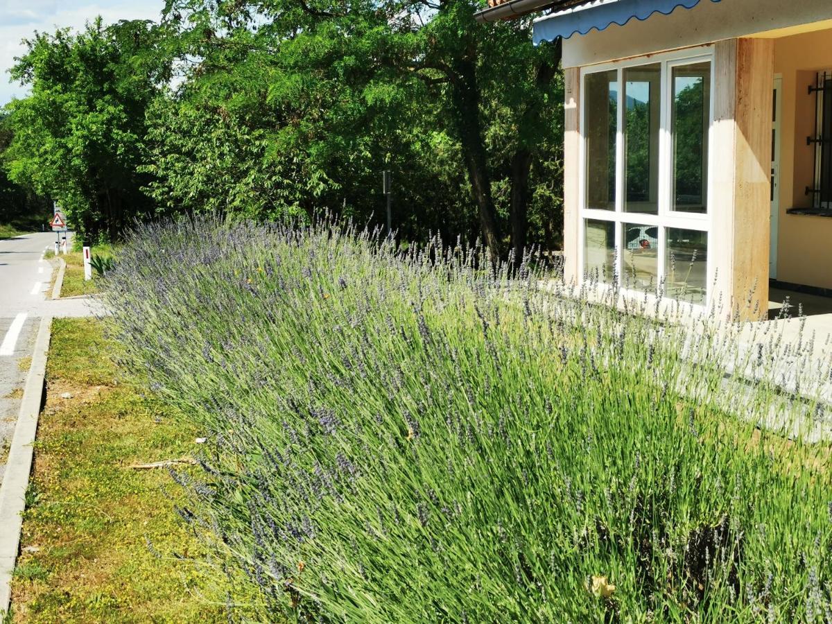 Krasen Kras 104 Resort Komen Zewnętrze zdjęcie